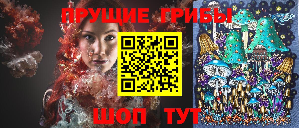 Галлюциногенные грибы прущие грибы Богородицк
