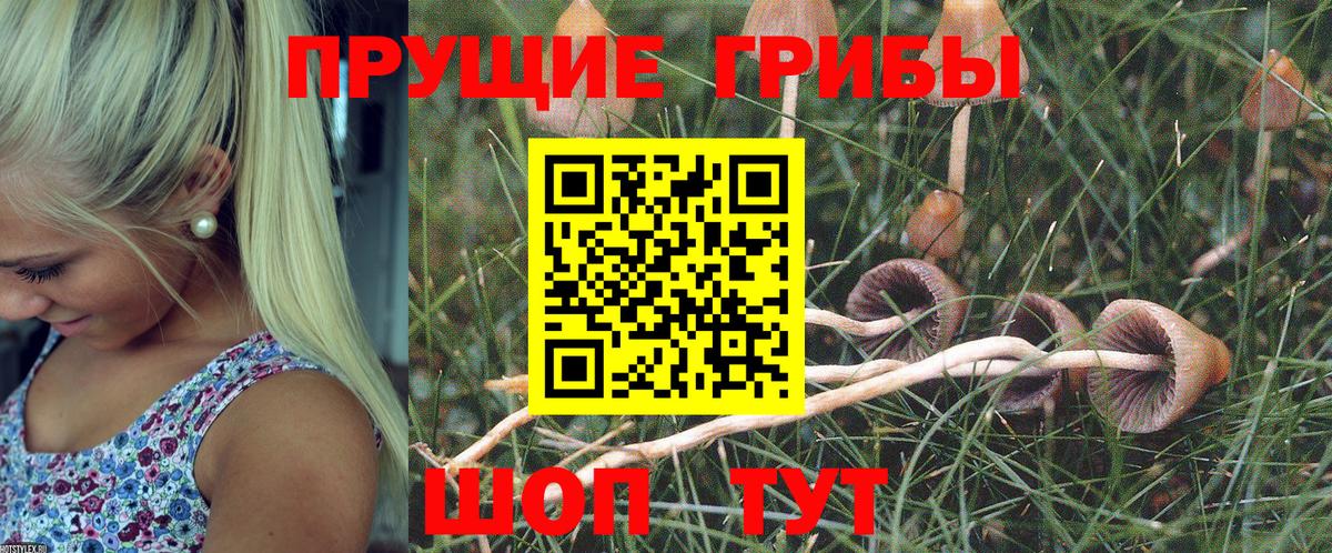 Галлюциногенные грибы мицелий  Псилоцибиновые грибы Cubensis  Вход с VPN  Богородицк 